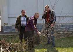 Actions “Clean Environment” and “Plant a Tree”